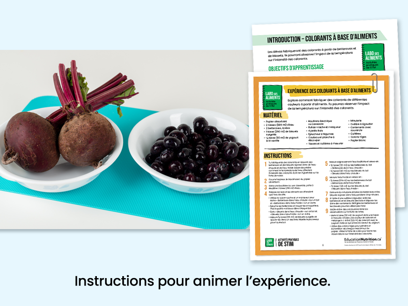 Colorants à base d’aliments - Bettraves et bleuets dans des bols - Instructions pour animer l'expérience - Programme Le labo des aliments - STIM