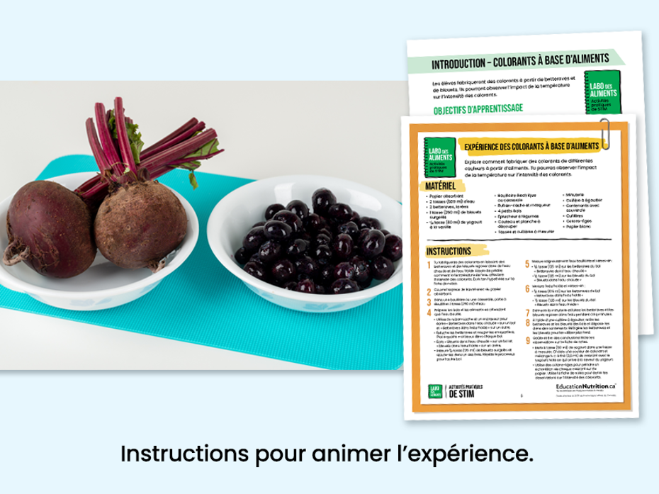 Colorants à base d’aliments - Bettraves et bleuets dans des bols - Instructions pour animer l'expérience - Programme Le labo des aliments - STIM