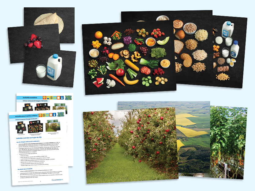 trousse qui contient des cartes d'images d'aliments, des affiches sur le Guide alimentaire canadien et des affiches sur la provenance des aliments